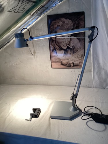 Halogenlampen v - 12,